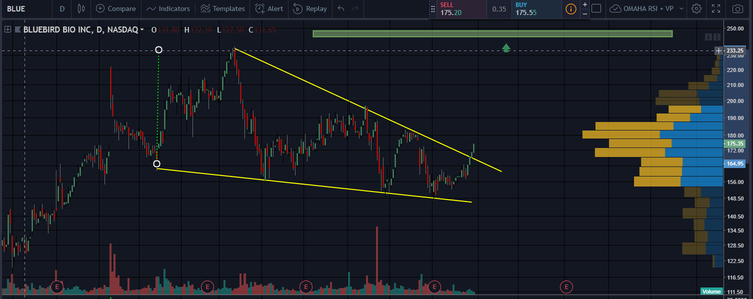 OmahaCharts Bluebird Biotech Stock Analysis - You're My Boy Blue!