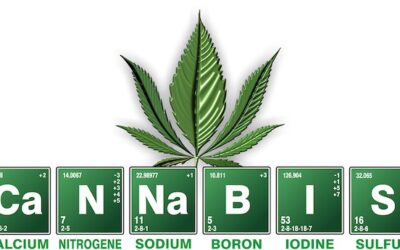 While Cannabis Is Smoking, You Might Book Some Profits