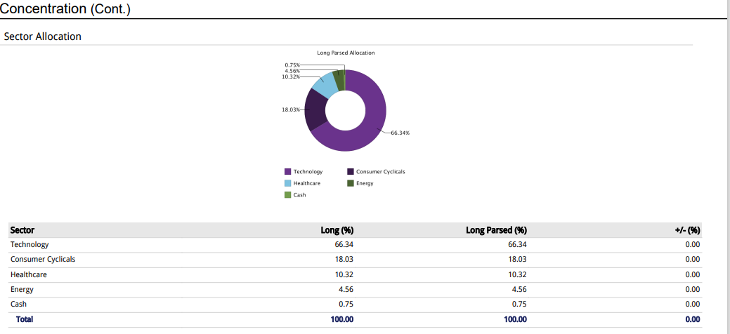 JSPM Omaha Growth Strategy Statistics - Sector Allocation and Concentration