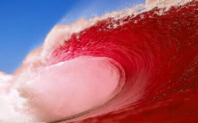 It Was Actually A Red Wave…